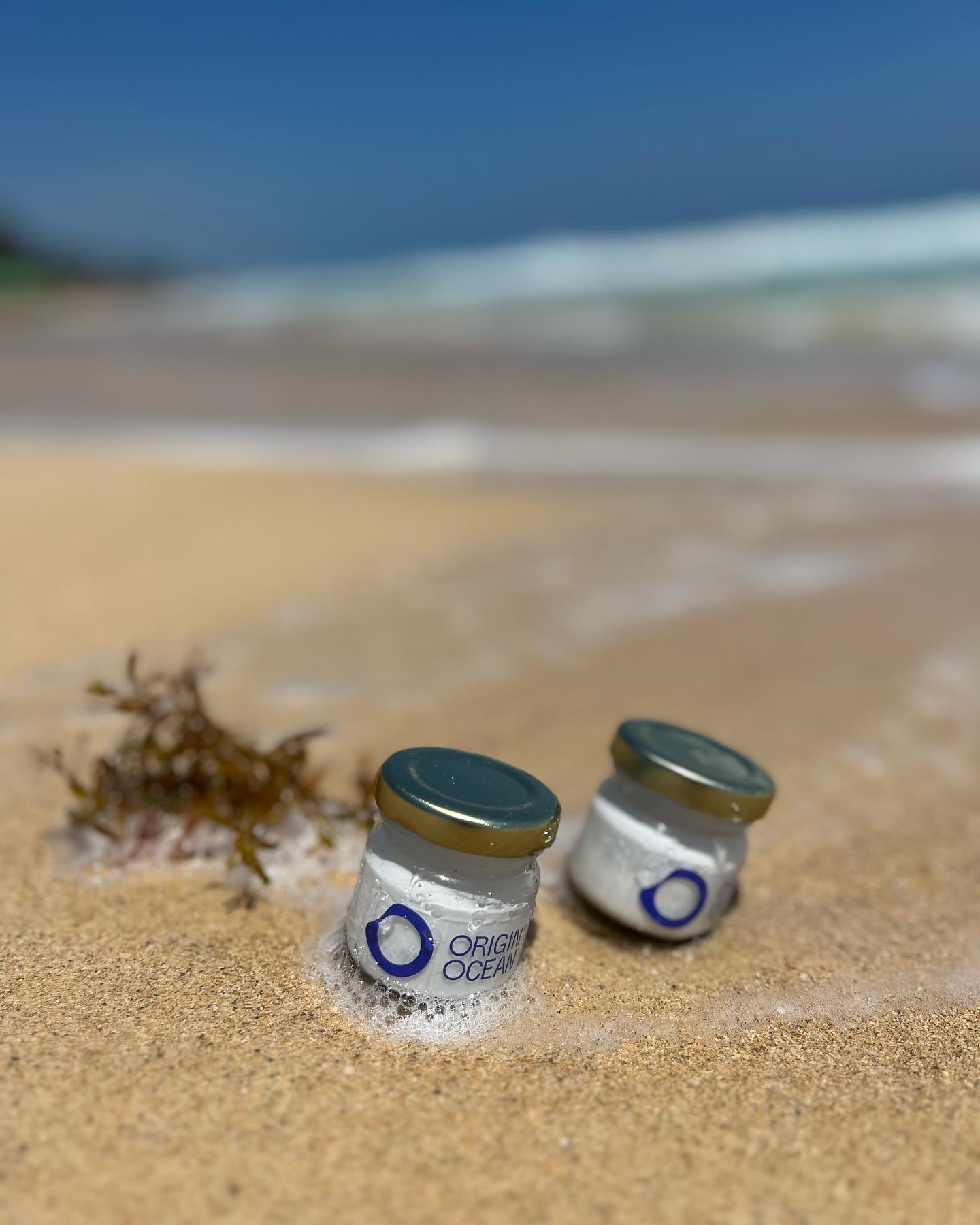 Origin by Ocean AlgaePro Banos