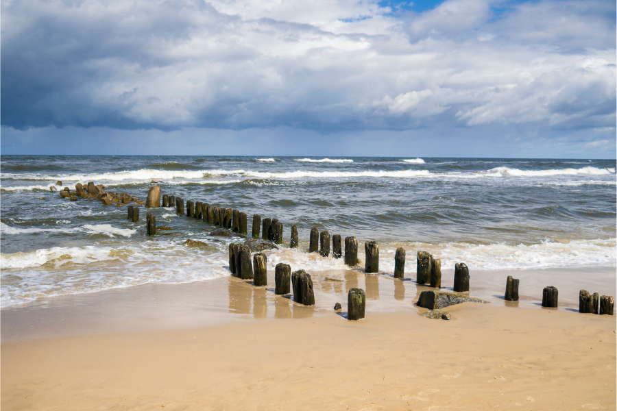 Harnessing Life Cycle Assessments for Sustainable Algae Solutions: The AlgaeProBANOS Approach