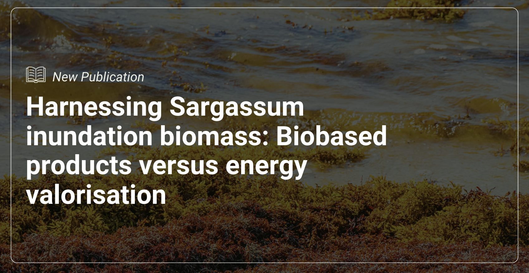 New APB paper out: Can Sargassum become a resource instead of a problem?