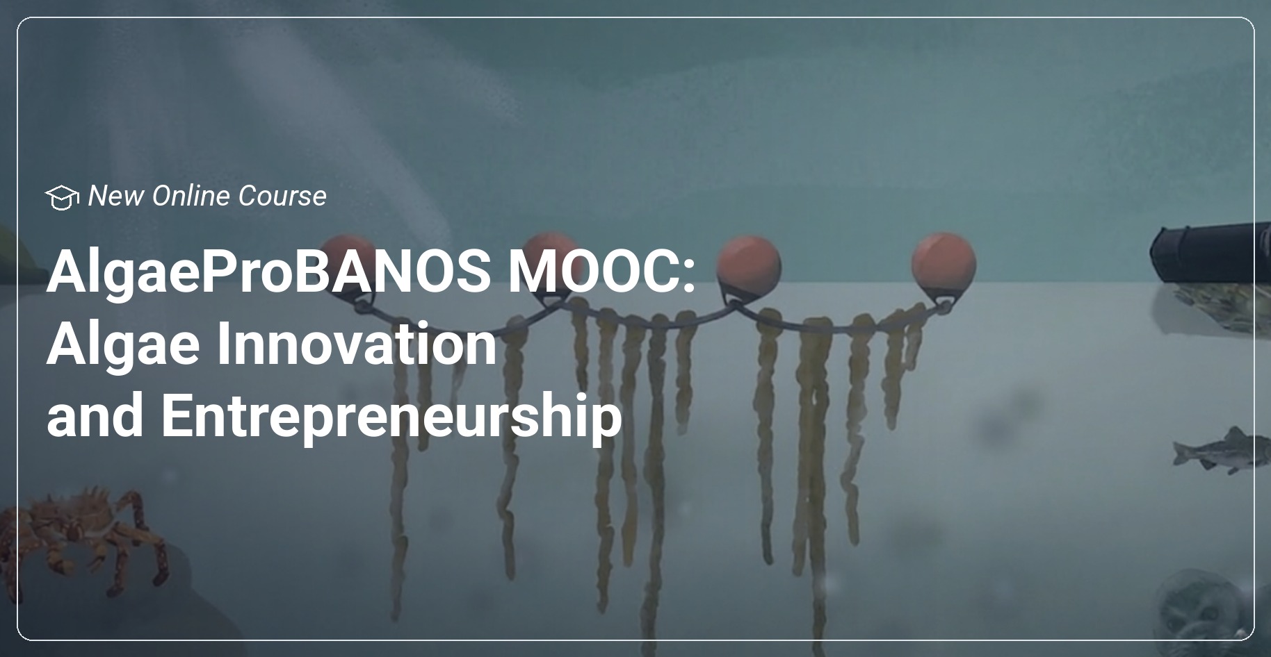 AlgaeProBANOS course “Algae Innovation and Entrepreneurship” is now available
